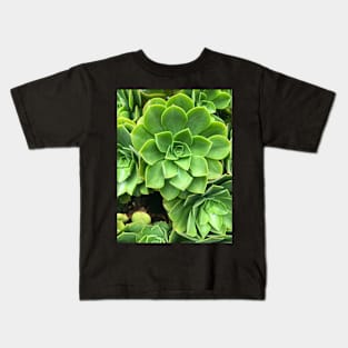 Flower-shaped succulent plant in Southern California Kids T-Shirt